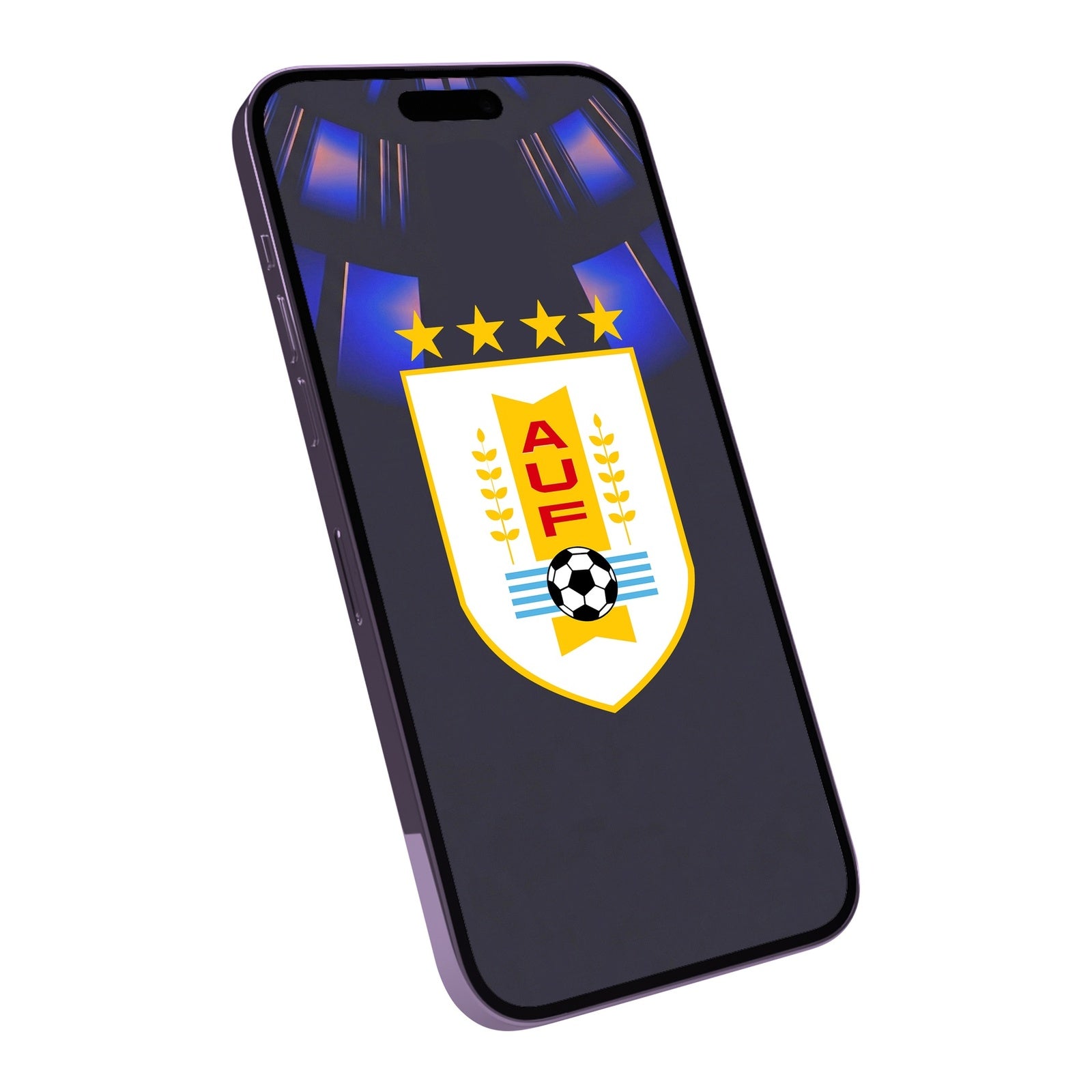 2026 FIFA WORLD CUP URUGUAY MYSTERY BOX – Jerseys, Gadgets & More