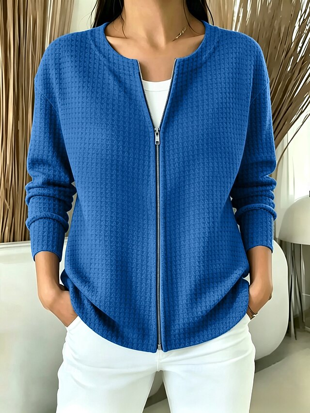 Women's Pullover Plain Vintage Basic Classic Long Sleeve Crew Neck Regular Tops