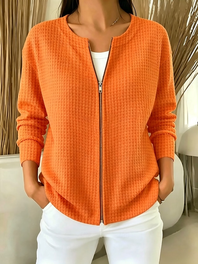 Women's Pullover Plain Vintage Basic Classic Long Sleeve Crew Neck Regular Tops