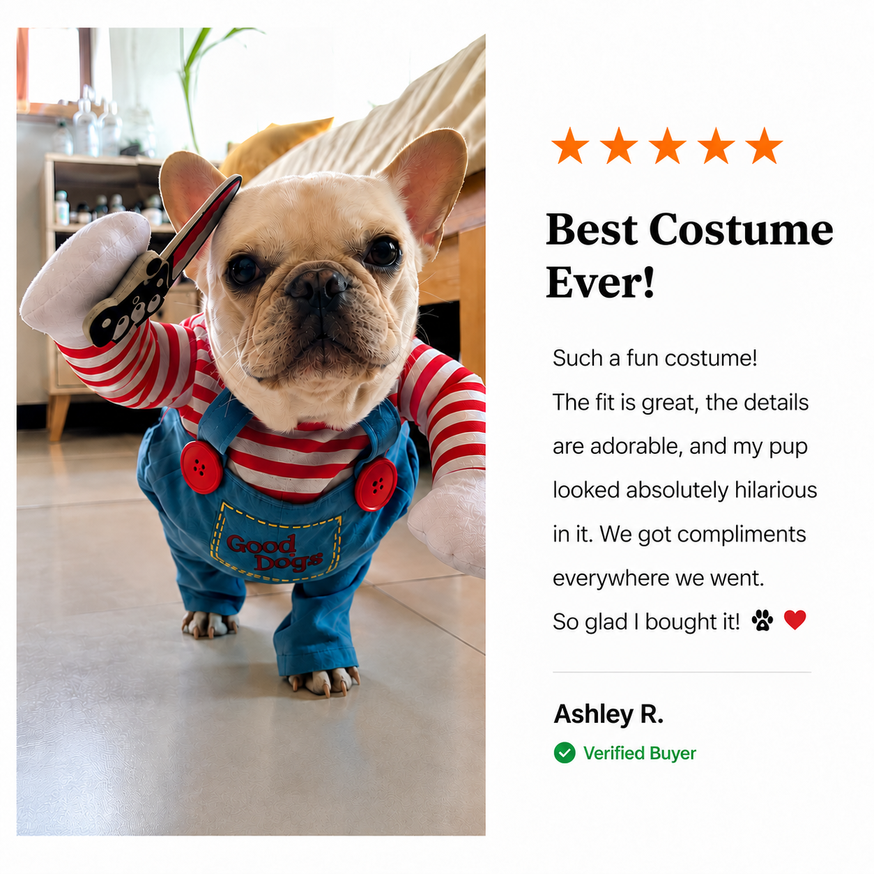 Spooky doll pet costume in action