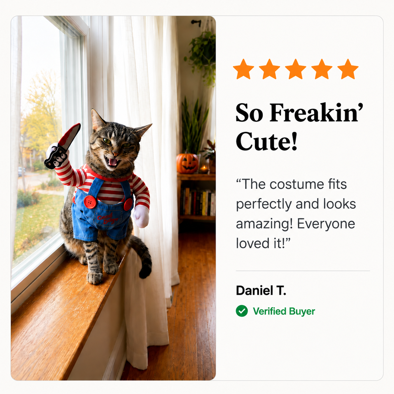 Spooky doll pet costume in action