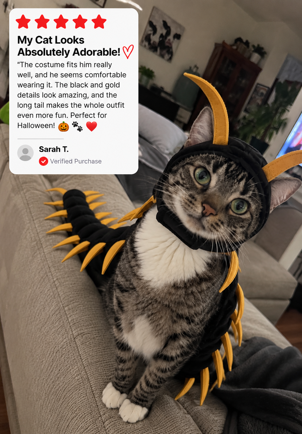 Customer photo from Sarah T.