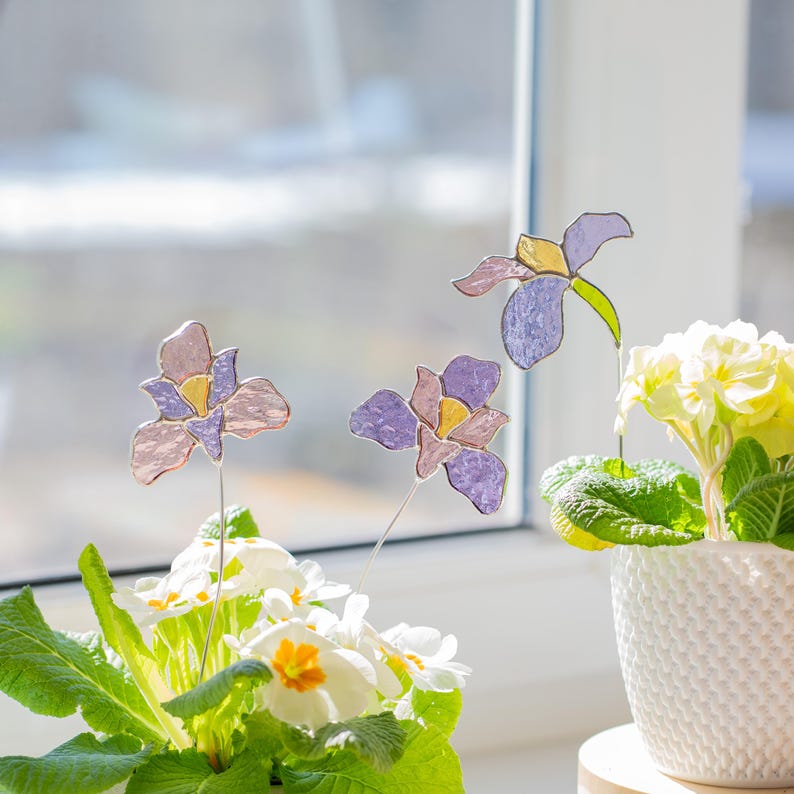 Estacas de plantas em vitral com íris, decoração estilo casa de campo, presente para avó, detalhe floral de primavera