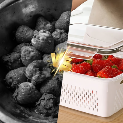 The 4-in-1 Preservation System is changing how Americans store their food