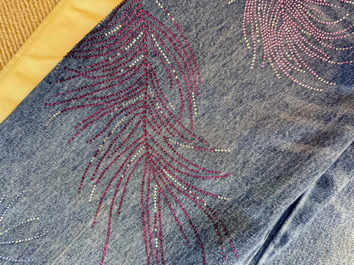 CHANE rhinestone feather jeans