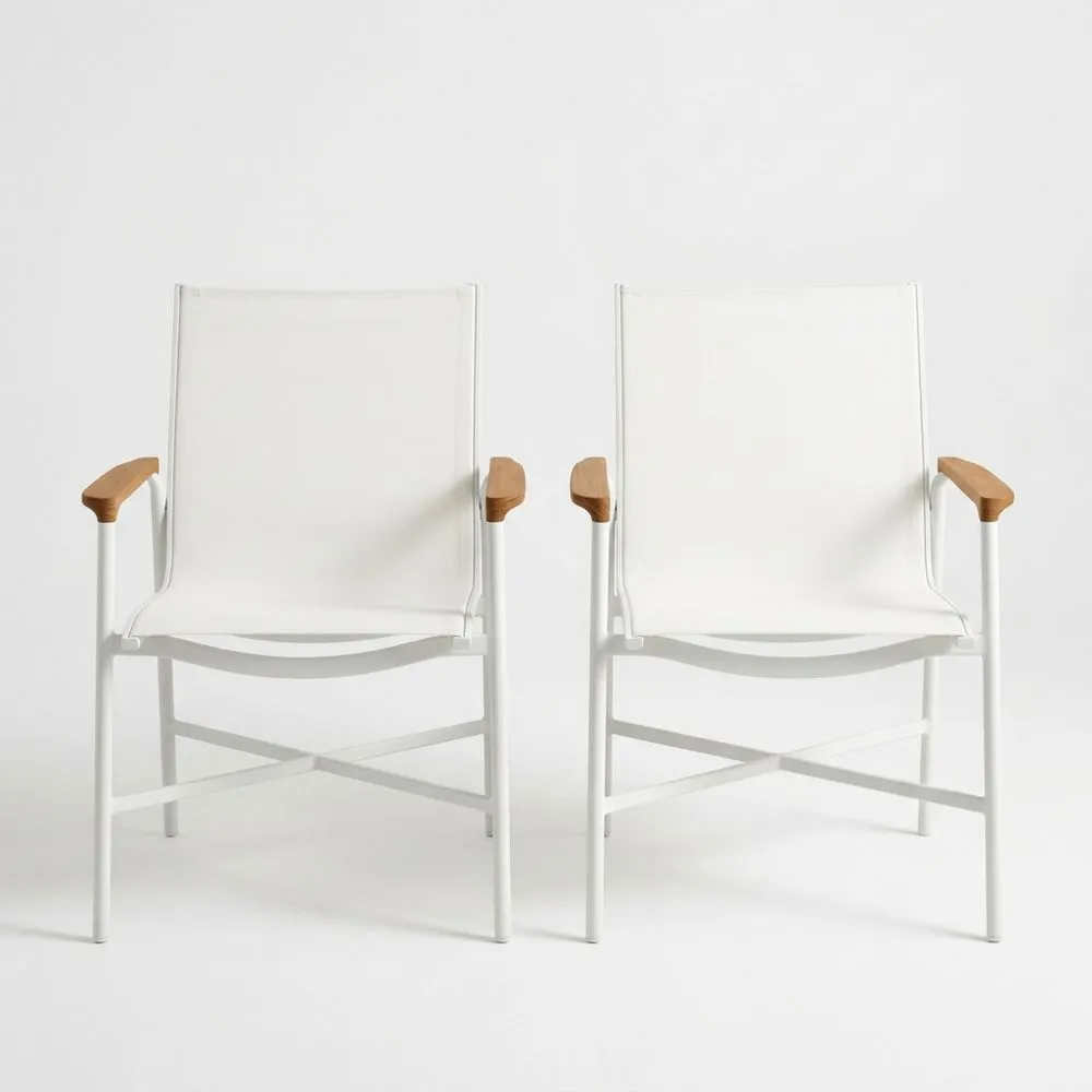 Set di Sedie in Acciaio Verniciato e Teak NV1990208