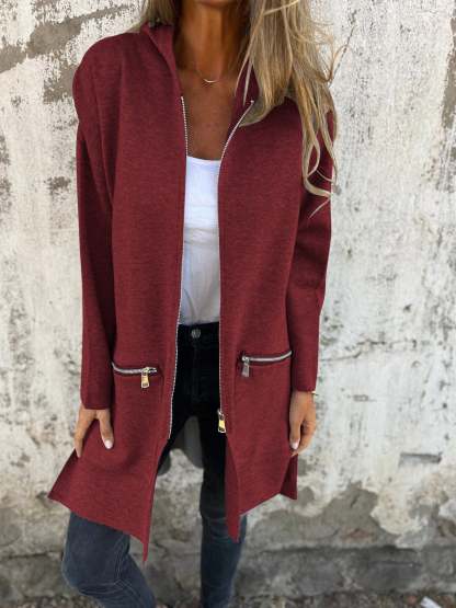 🎄Christmas Sale🔥 Zipper Long Sleeve Hooded Jacket-retrostrom