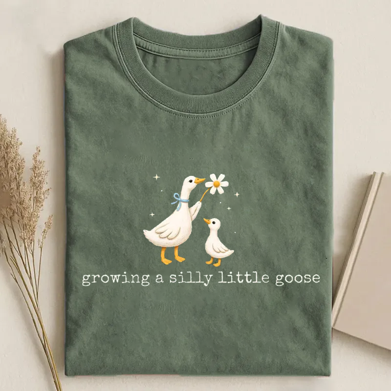 Silly Goose Pregnancy T-shirt - Vintage Washed Apparel by VanceMade