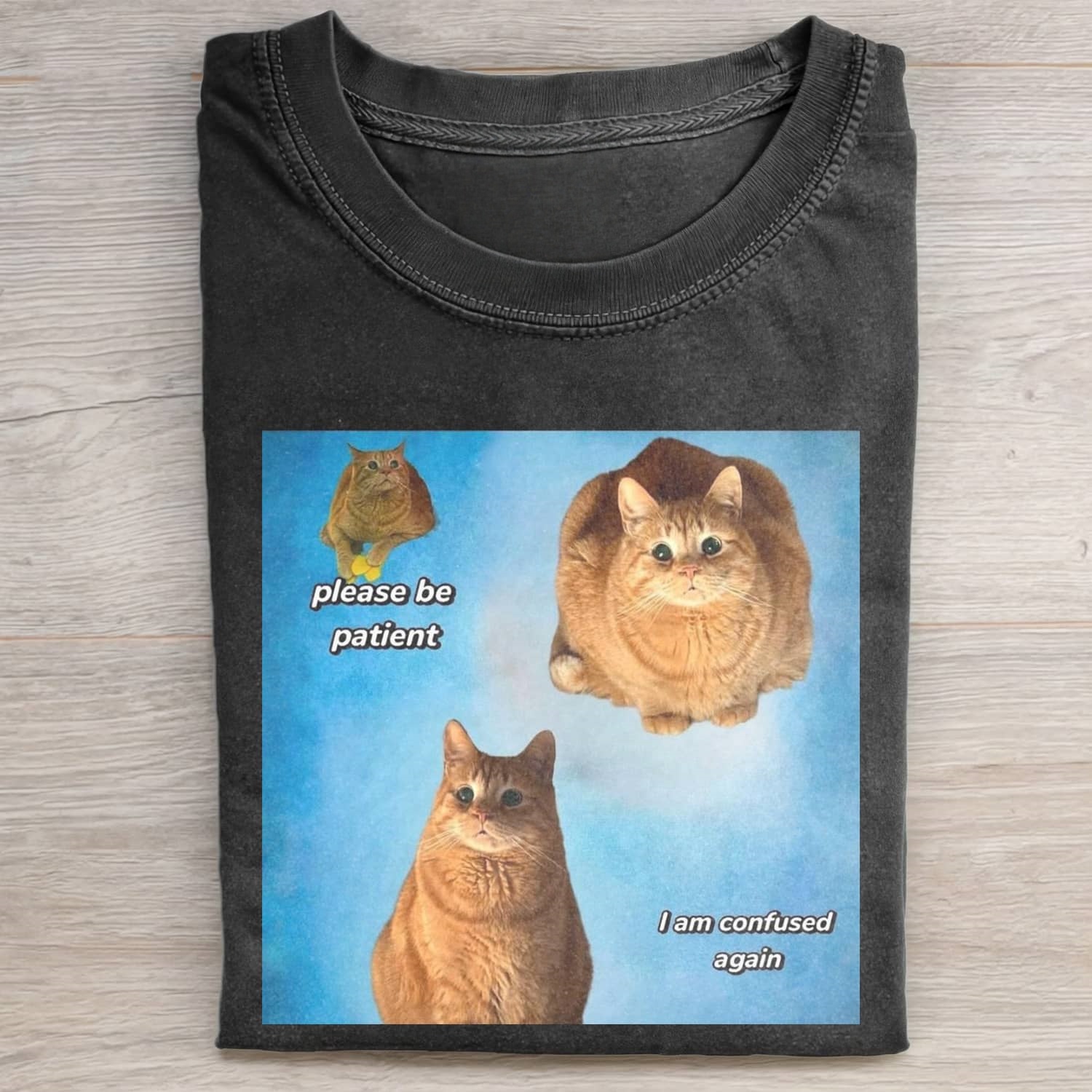 CAT MEME MOOD ICON T-SHIRT