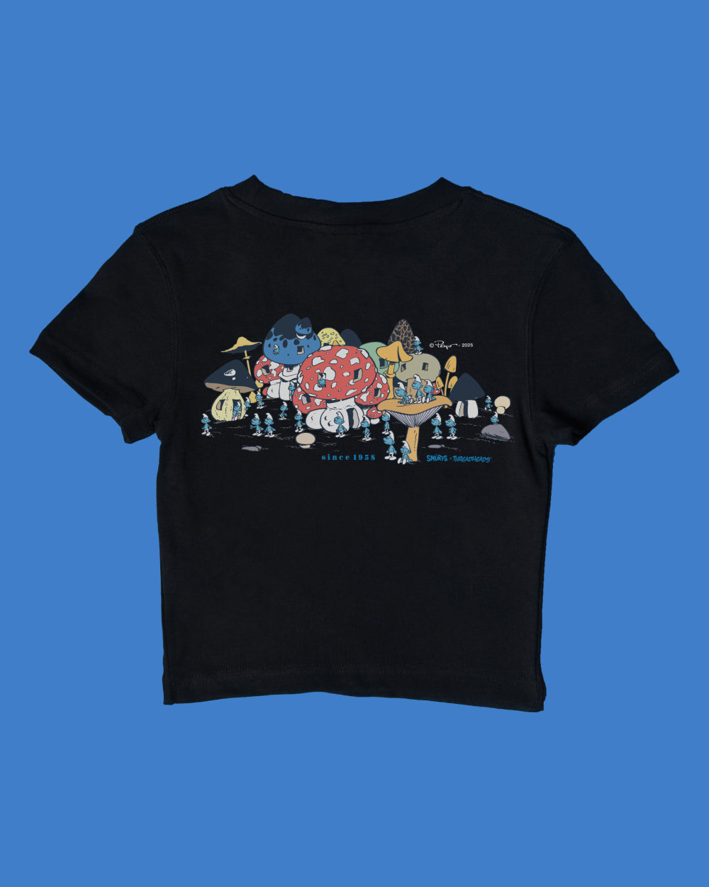 The Vintage Village Baby Tee - Vintage Washed Apparel by VanceMade