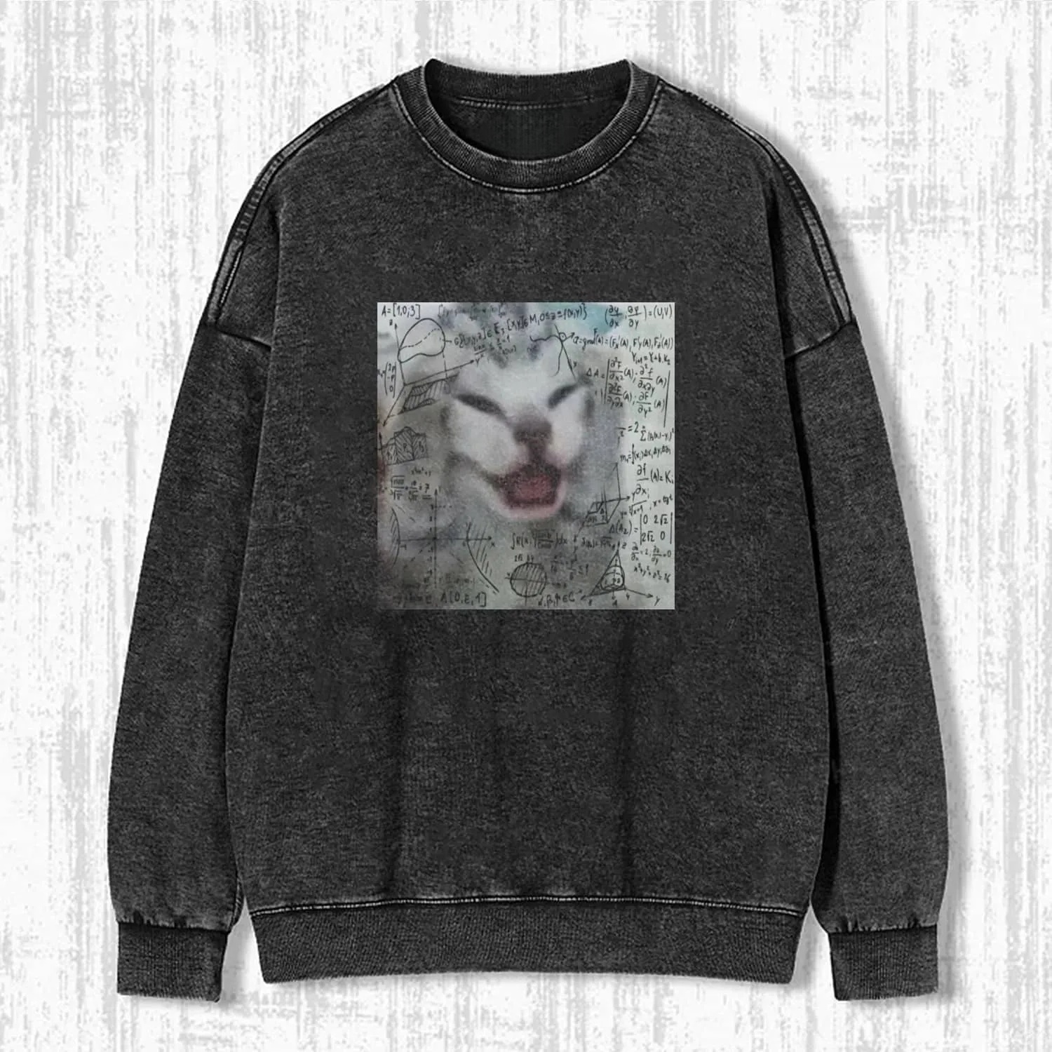 CAT MEME ICON SWEATSHIRTS