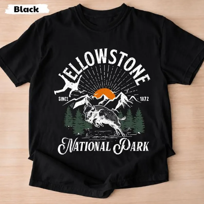 Funny Bison National Park Graphic T-Shirt