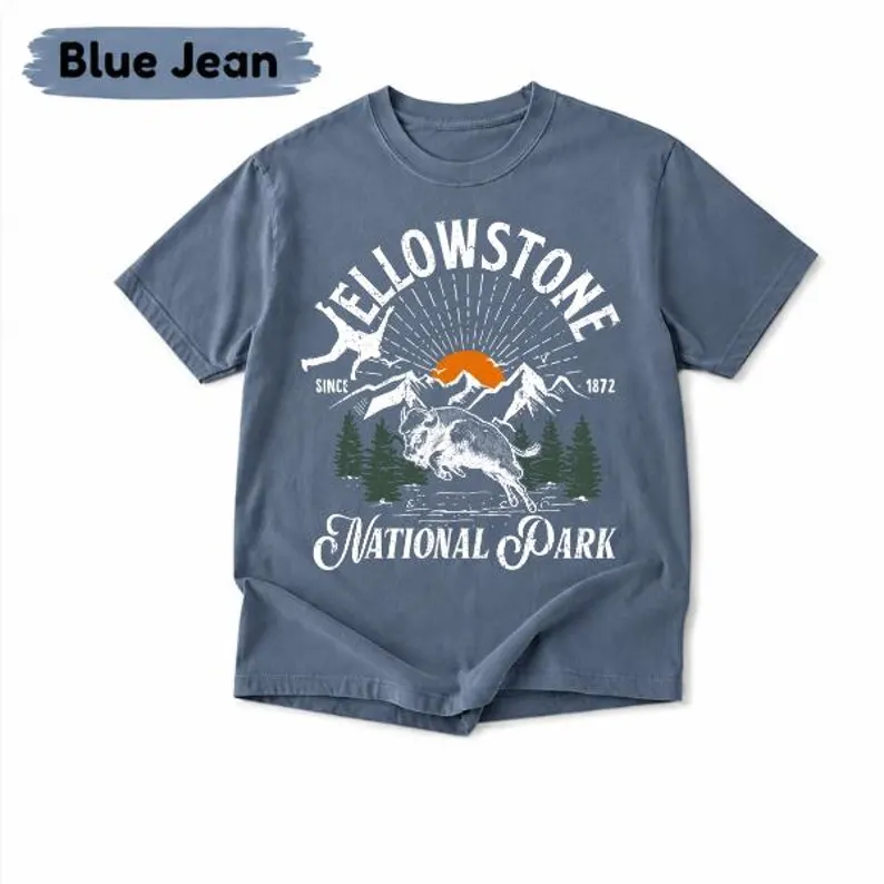 Funny Bison National Park Graphic T-Shirt