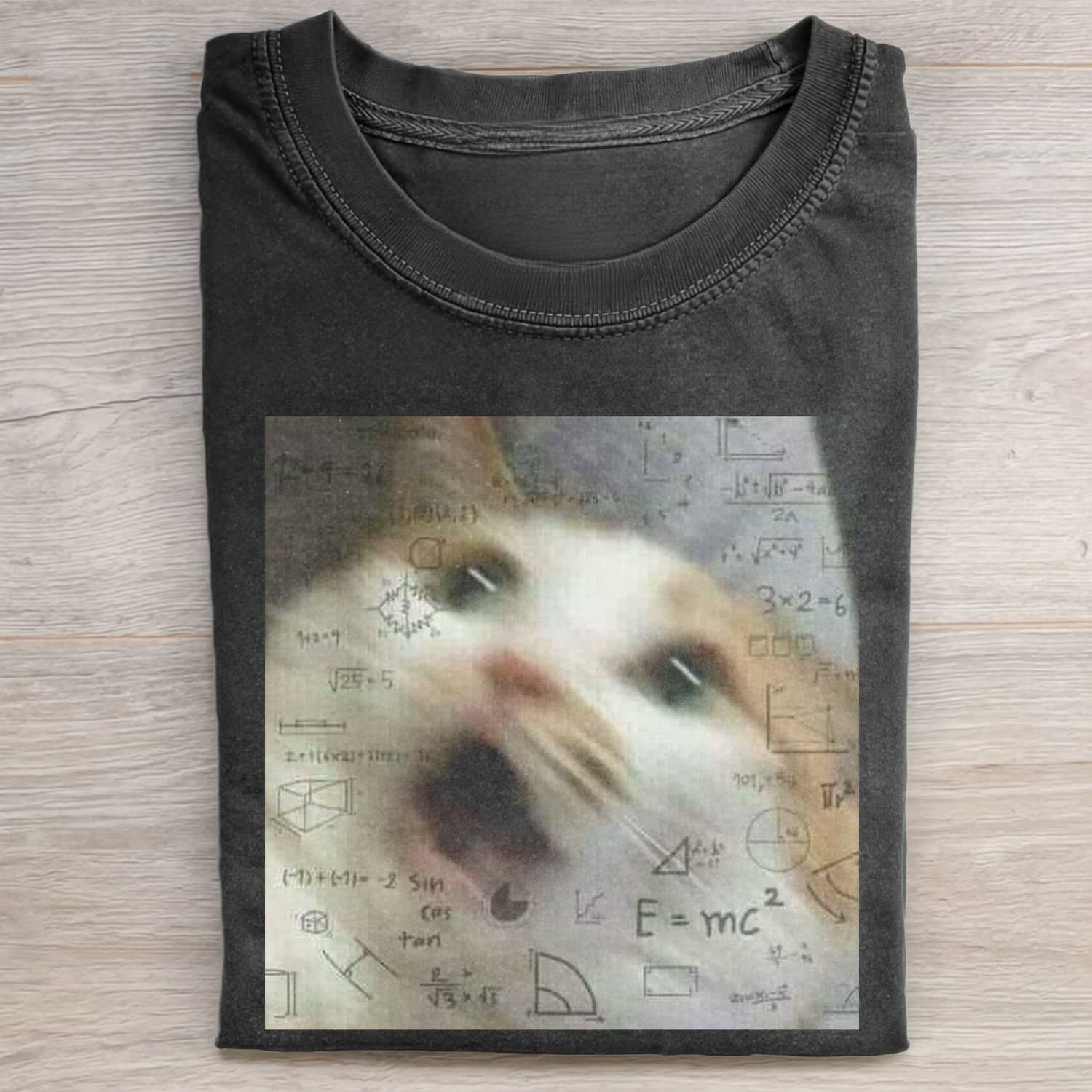 CAT MEME ICON T-SHIRT - Vintage Washed Apparel by VanceMade