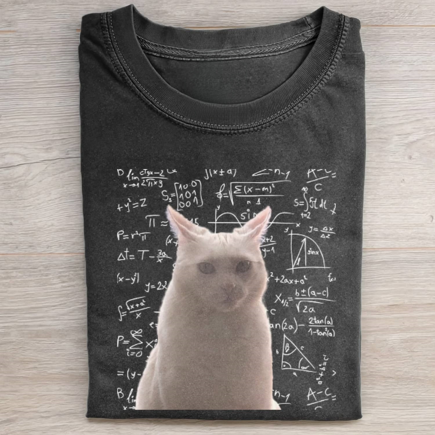CAT MEME ICON T-SHIRT - Vintage Washed Apparel by VanceMade