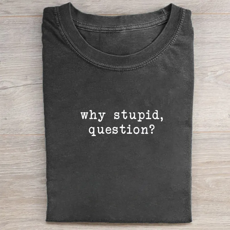 Why Stupid Question T-shirt - Vintage Washed Apparel by VanceMade