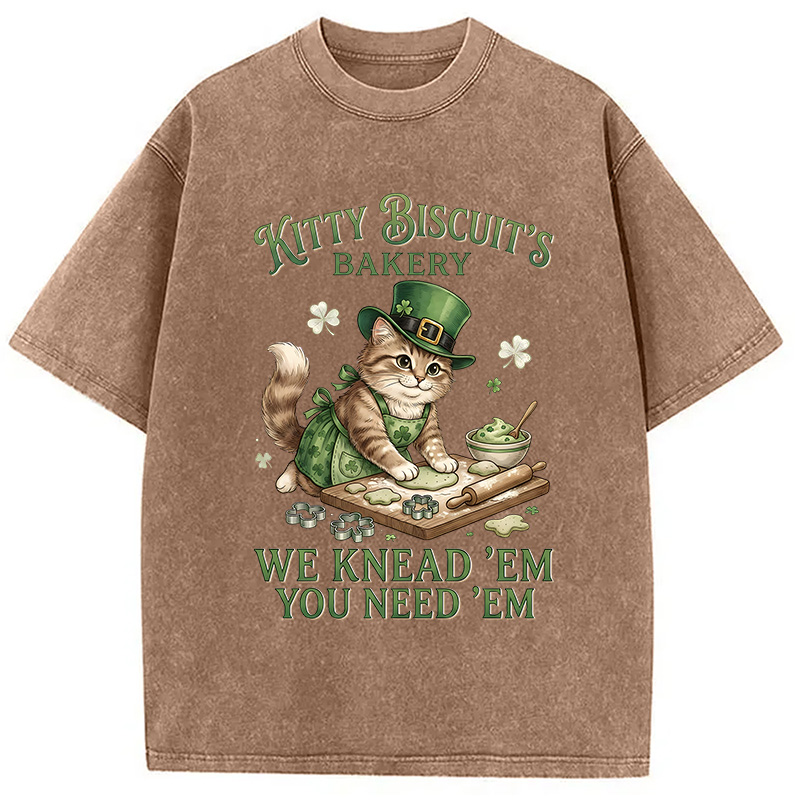 Funny Cat St Patrick's Day Washed T-Shirt-Vance