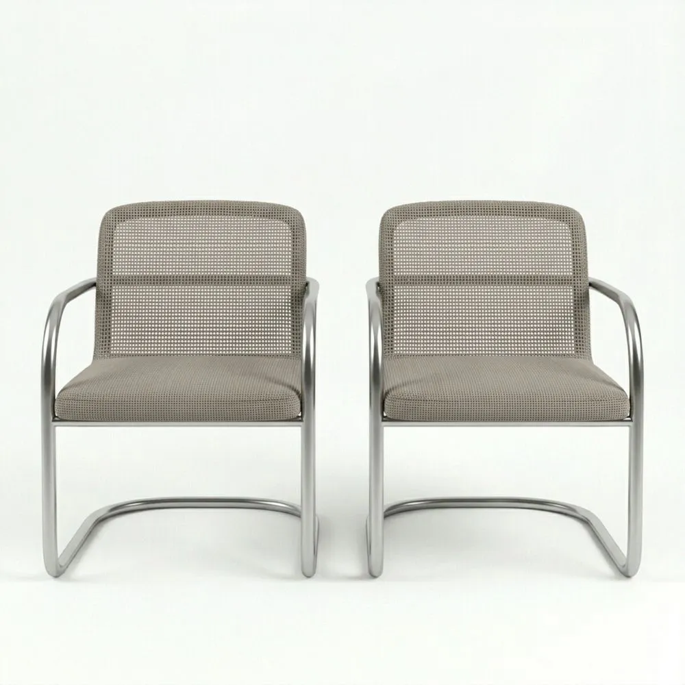 Conjunto de 2 sillas de acero inoxidable y malla Marrón claro