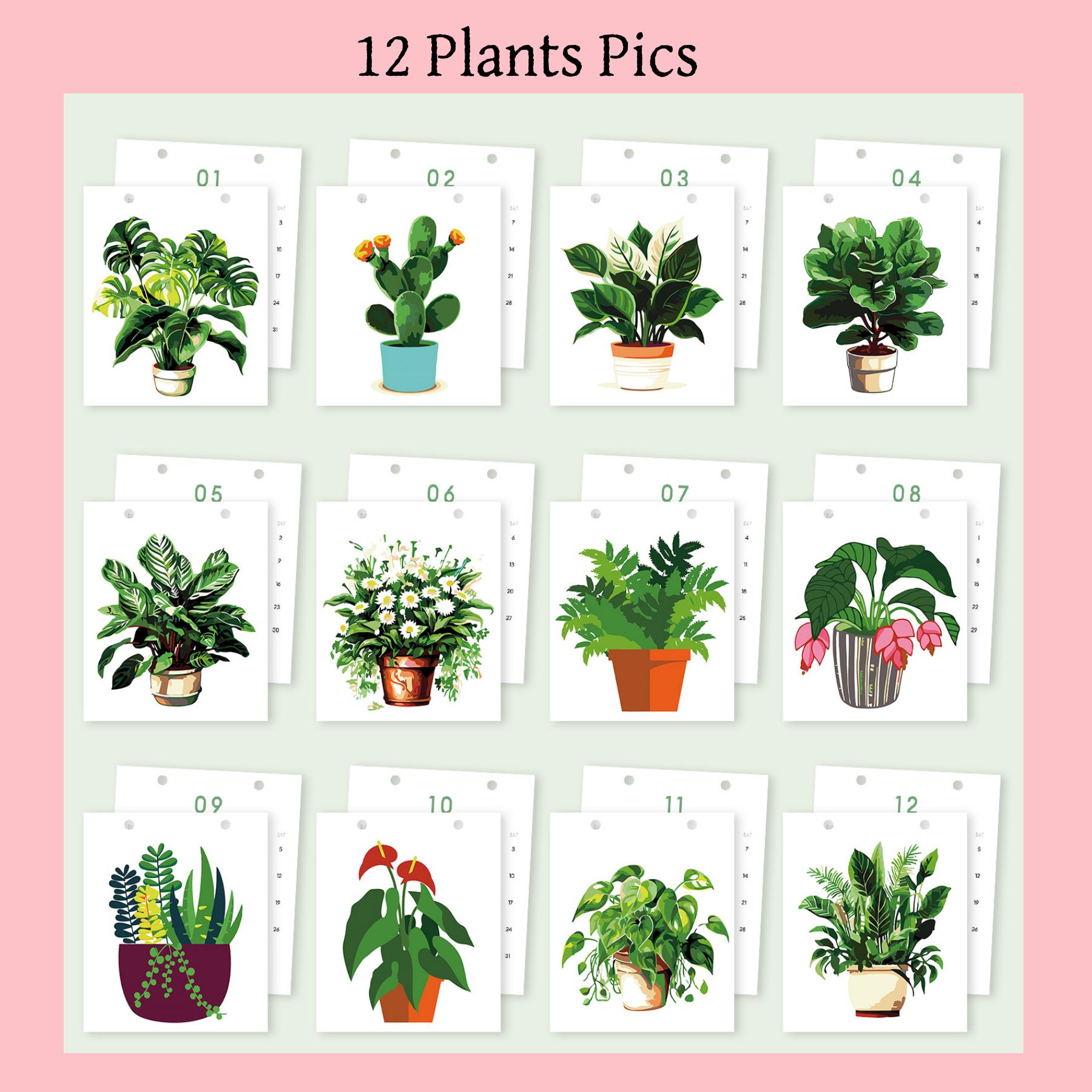 DIY Painting Desk Calendar 2027, Plant Digital Calendar