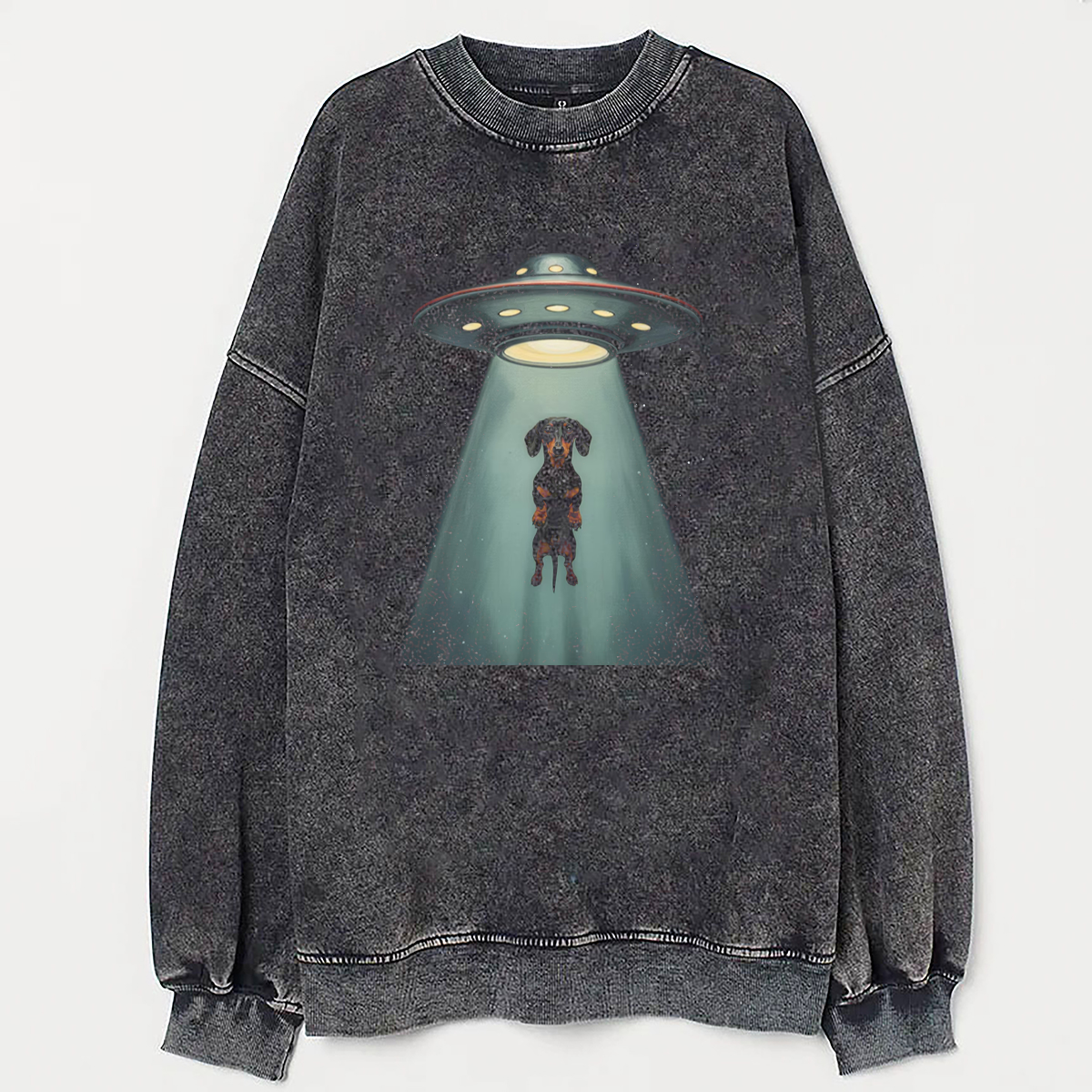 Dachshund UFO T-shirt/Sweatshirt Vintage Washed DTG Graphic Tee | ZalleStudio