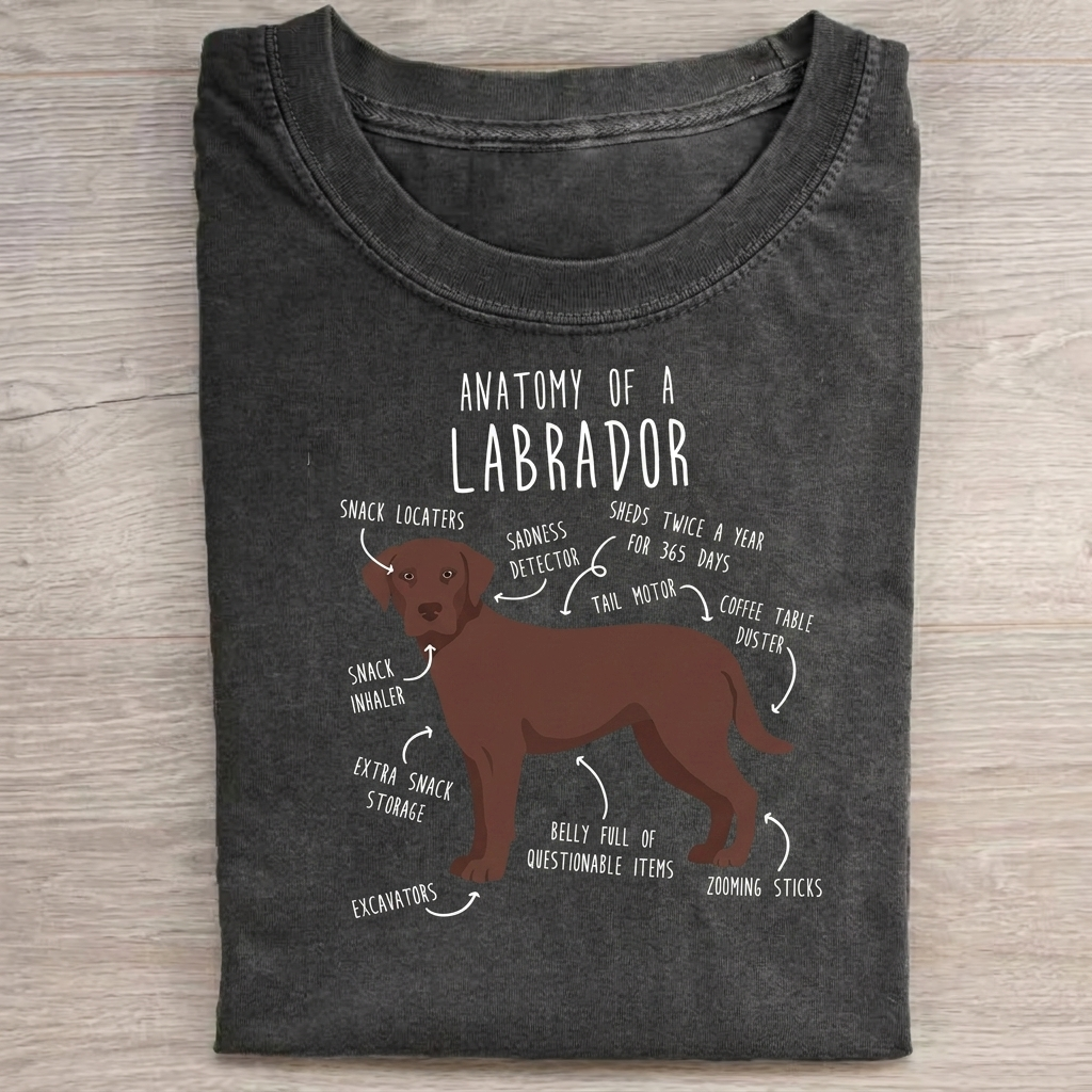 Anatomy Of a Labrador T-Shirt