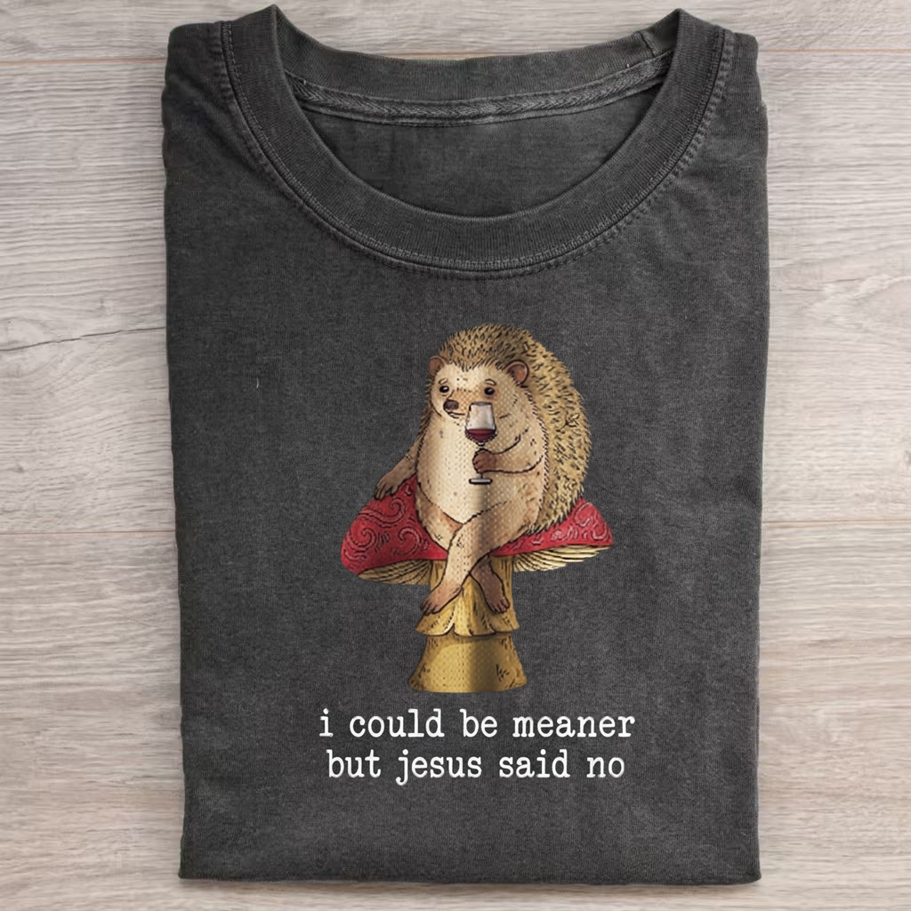 I Could Be Meaner But Jesus Said No T-Shirt
