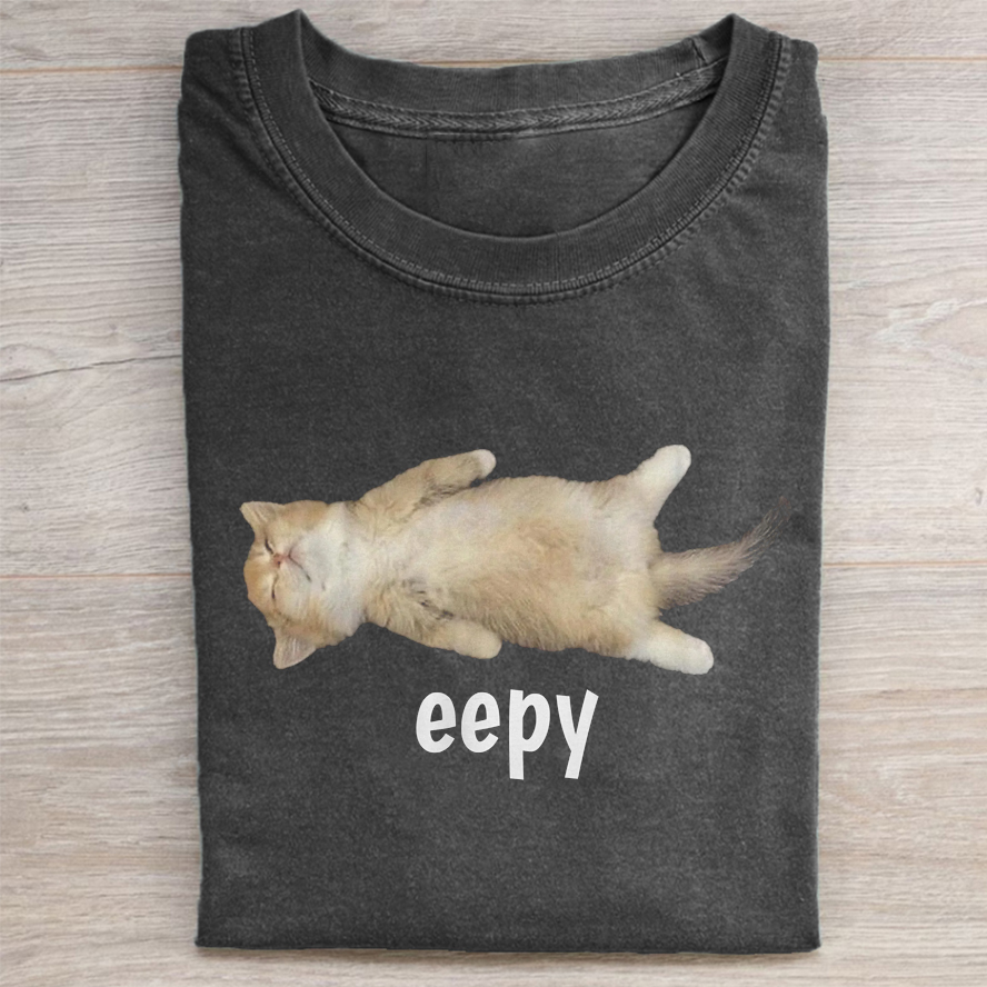 Silly Sleepy Cat T-shirt Vintage Washed DTG Graphic Tee | ZalleStudio