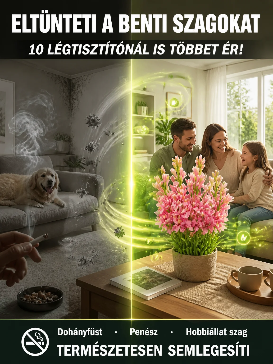 d3b2578f0bdff1a50824d076be3e8a03.webp