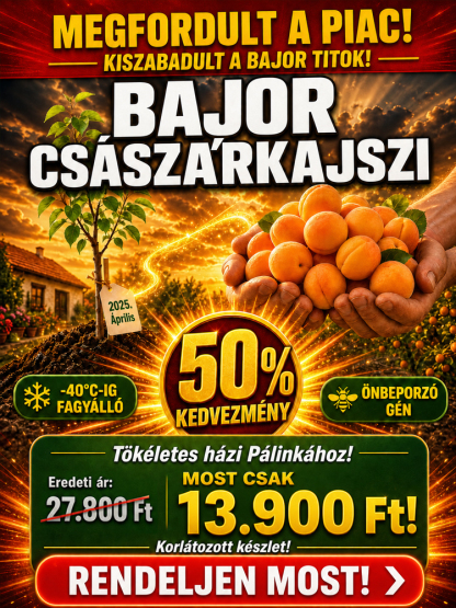 🍑Prémium császári sárgabarackfa | Még idén terem | Szuper édes és lédús