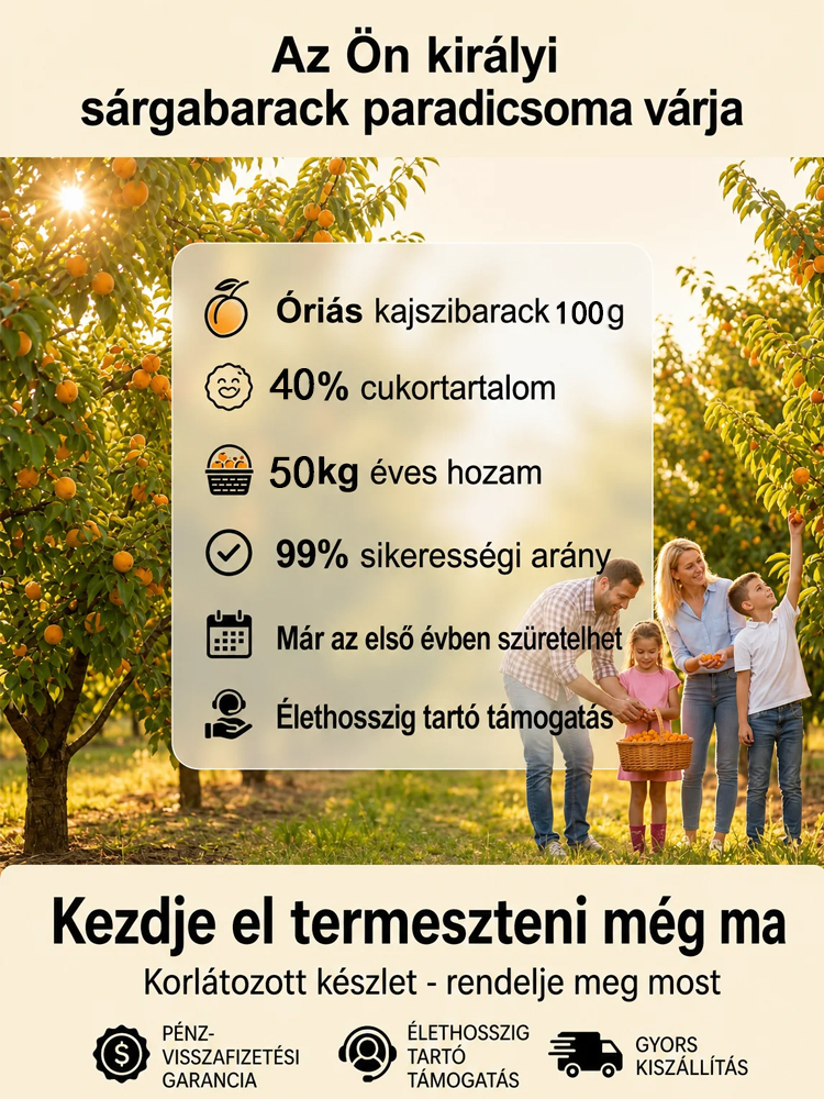 🍑Prémium császári sárgabarackfa | Még idén terem | Szuper édes és lédús