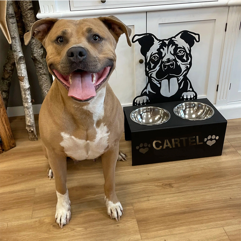 Personalized Dog Food Bowl – Customized with your pet’s name