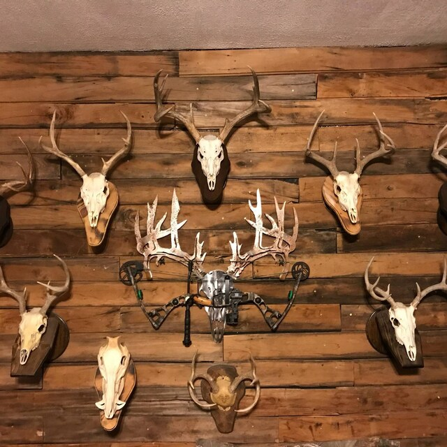 [Copy]Personalized Metal Deer Skull Bow Rack-The best gift for outdoor lovers