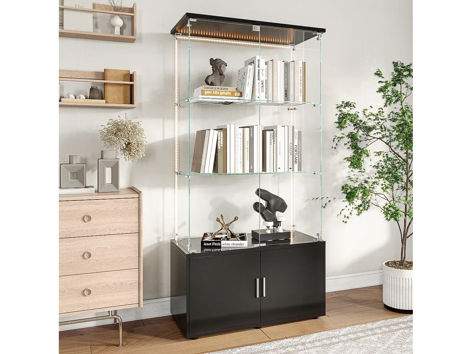 Moderne Glasvitrine mit LED-Beleuchtung und Regalen