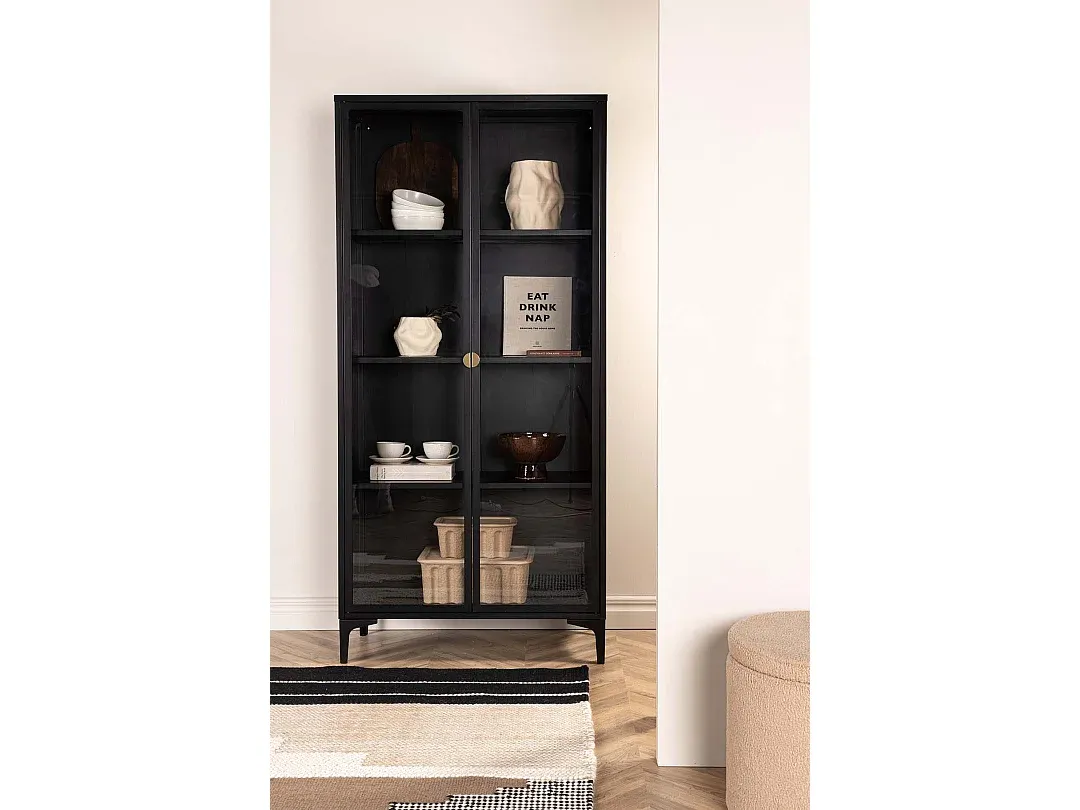 Moderner Vitrinenschrank mit 2 Glastüren in Schwarz