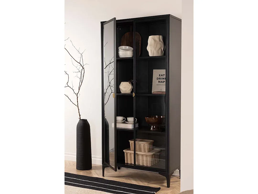Moderner Vitrinenschrank mit 2 Glastüren in Schwarz