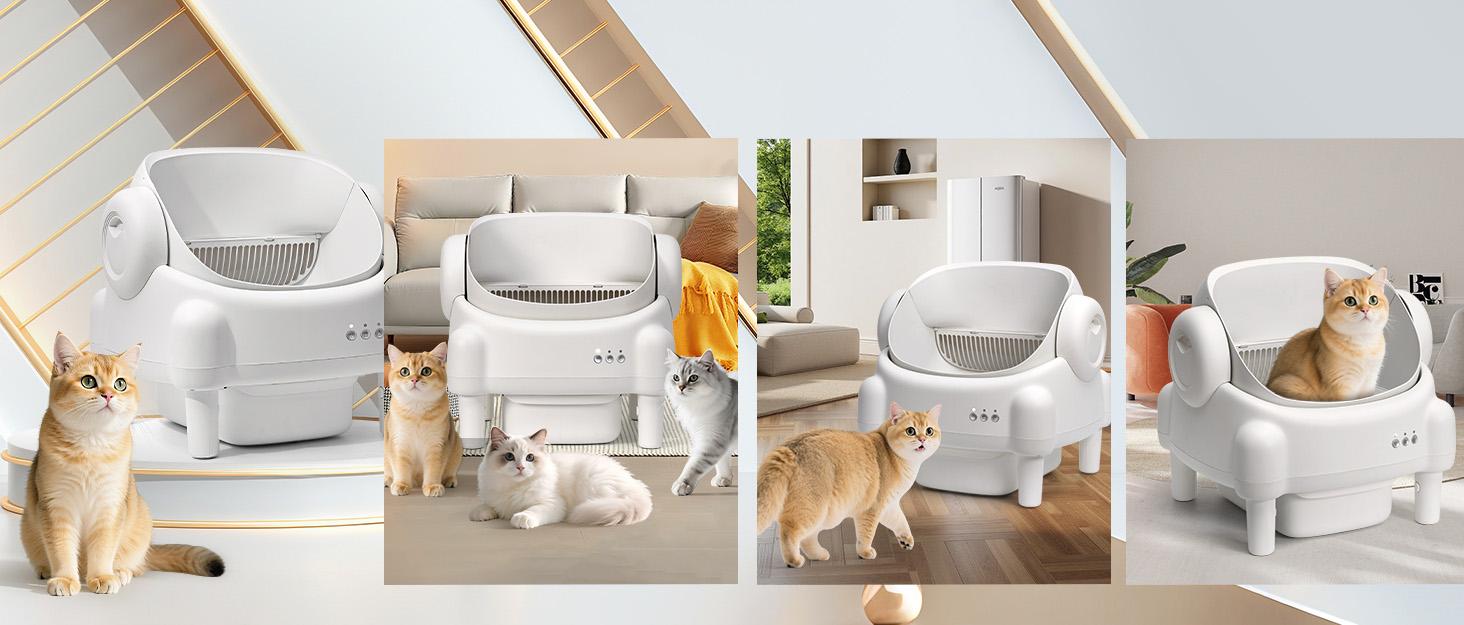 TAYACICY Smart Self-Cleaning Litter Box for Multiple Cats | 10.5L Bin, Open-Top Design, Dual Safety Sensors, Cat Litterbox (Only Supports 2.4G WiFi)