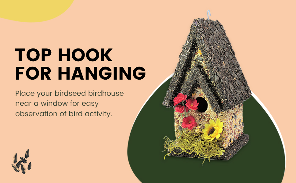 birdseed bird house combo hanging anti squirrel proof feeder for outside birdwatching window