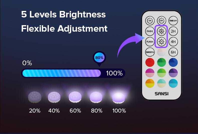 SANSI RGB Pool Lights with RF Remote & Timer &ndash; Waterproof, Battery Operated, Flash/Fade/Smooth Modes, Magnetic & Suction Installation &ndash; Portable for Showers, Pools, Outdoors &ndash; Perfect for Garden SummerVibes