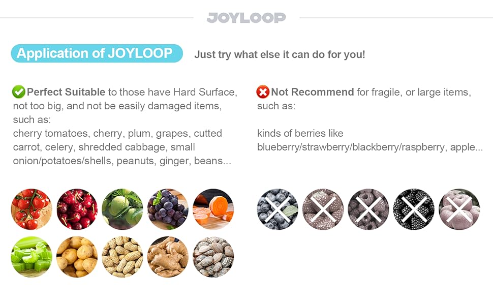 JOYLOOP Fruit spinner with brush