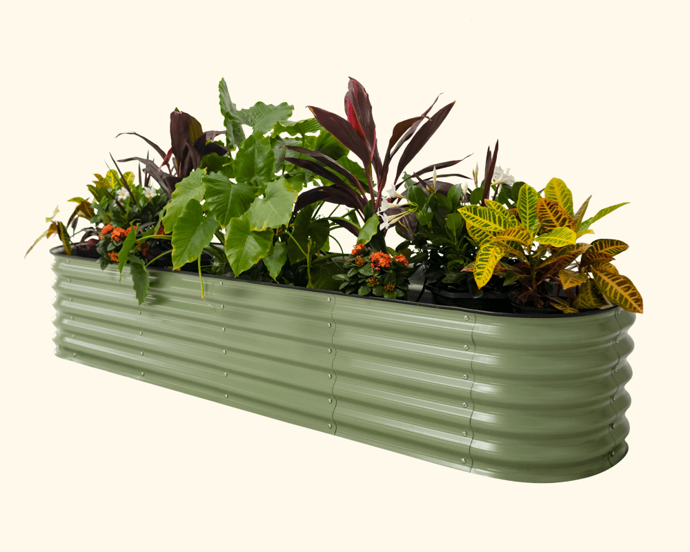 Vego garden beds