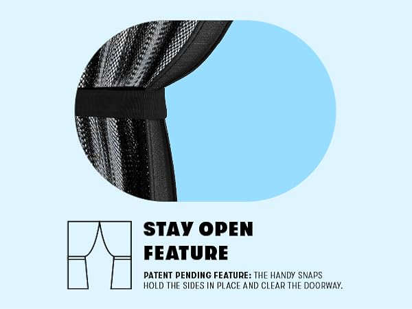 Pasted Image