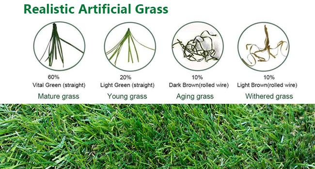 Petgrow Realistic Artificial Grass Turf -5FTX10FT(50 Square FT), Thick Fake Grass Pet Dog Mat Pad with Drain Holes- Indoor Outdoor Astroturf Garden Lawn Landscape Balcony Synthetic Faux Grass Petgrow Realistic Artificial Grass Turf -5FTX10FT(50 Square FT), Thick Fake Grass Pet Dog Mat Pad with Drain Holes- Indoor Outdoor Astroturf Garden Lawn Landscape Balcony Synthetic Faux Grass