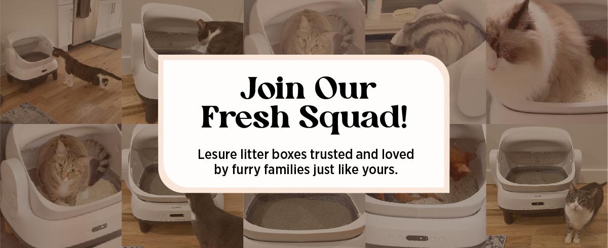 Lesure Self Cleaning Litter Box - Open-Top Automatic Cat Litter Box with APP Control & Anti-Pinch Sensor, for 3.3~18 lbs Cats, Odor Control, Includes 2 Sifters & 1 Roll Waste Bags
