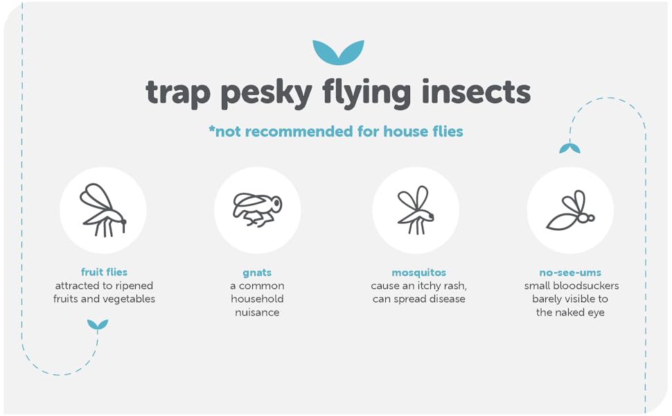 trap pesky flying insects