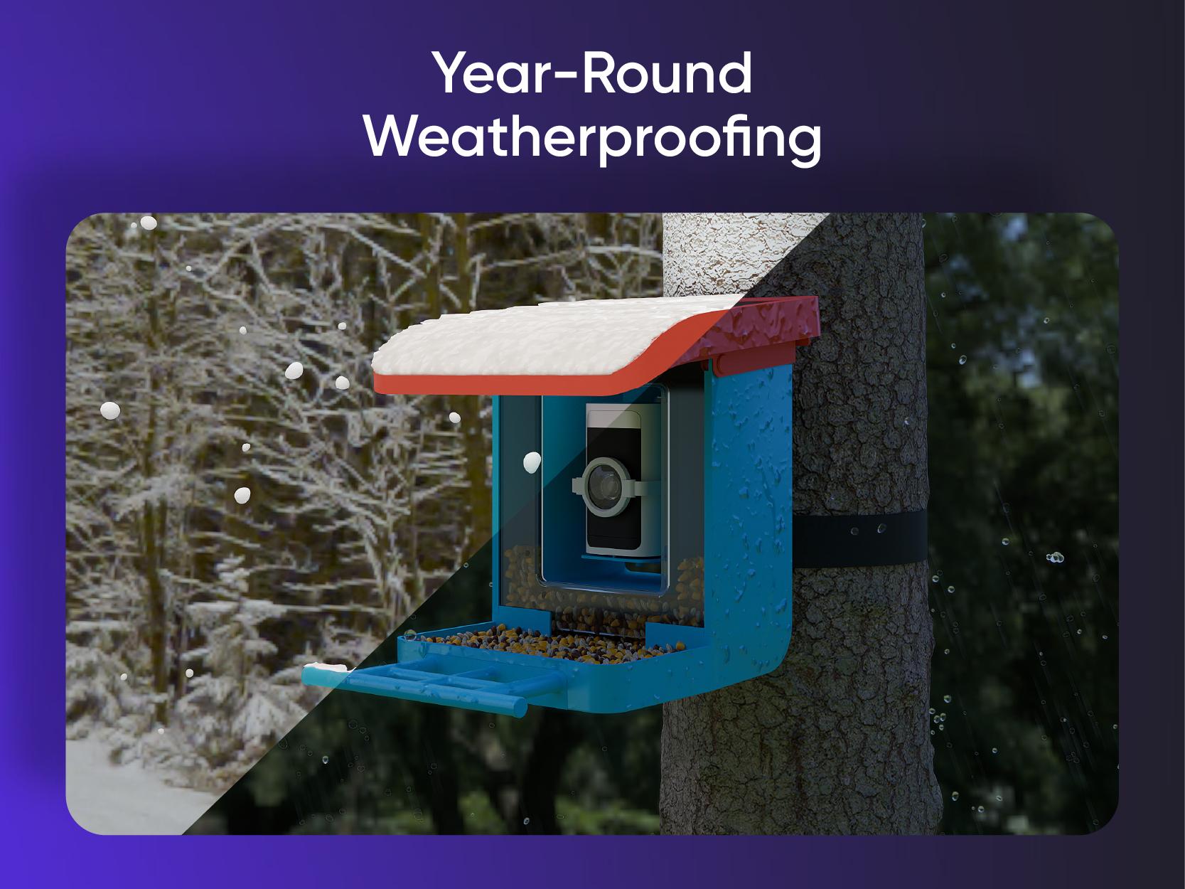 Wyze Bird Feeder with HD Camera &mdash; View & Record Live Video of Feathered Visitors with Your Favorite Wyze Camera