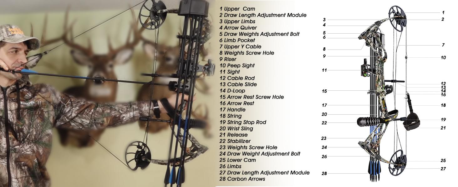 Sanlida Archery Dragon X8 RTH Compound Bow Package for Adults and Teens,18”-31” Draw Length,0-70 Lbs Draw Weight,up to IBO 310 fps,No Bow Press Needed,Limbs Made in USA,Limited Life-time Warranty (RH Only) Sanlida Archery Dragon X8 RTH Compound Bow Package for Adults and Teens,18”-31” Draw Length,0-70 Lbs Draw Weight,up to IBO 310 fps,No Bow Press Needed,Limbs Made in USA,Limited Life-time Warranty (RH Only)