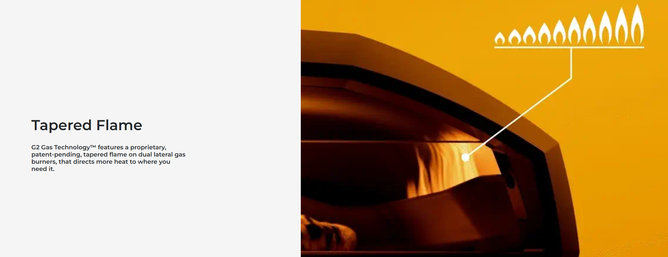 Pasted Image