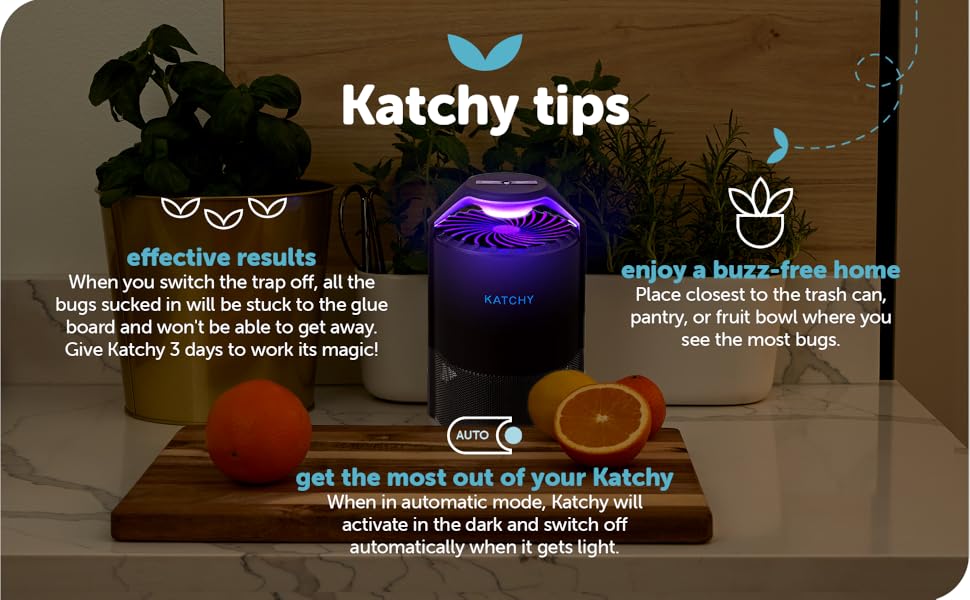 win the war on bugs