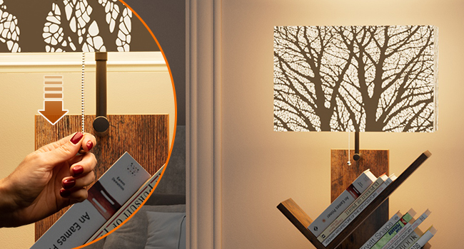 bookcase with light