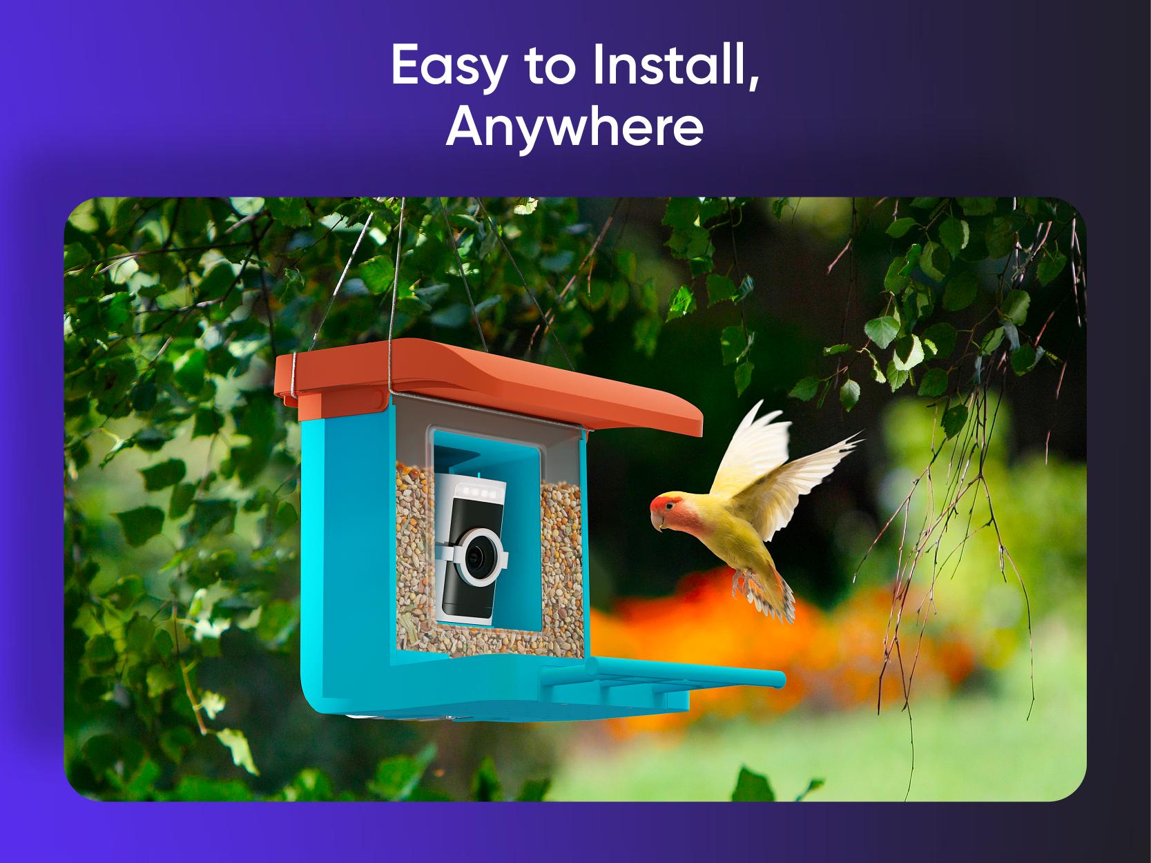 Wyze Bird Feeder with HD Camera &mdash; View & Record Live Video of Feathered Visitors with Your Favorite Wyze Camera